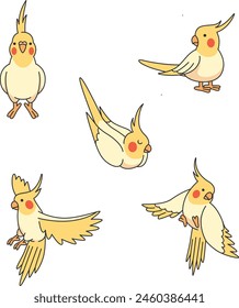 Cute cartoon cockatiel vector illustration