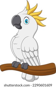 Cute cartoon cockatoo on a branch. Vector illustration