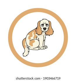 Cute cartoon Cocker Spaniel in circle puppy vector clipart. Pedigree kennel doggie breed for kennel club. Purebred domestic dog training for pet parlor. Illustration mascot. Isolated canine. 