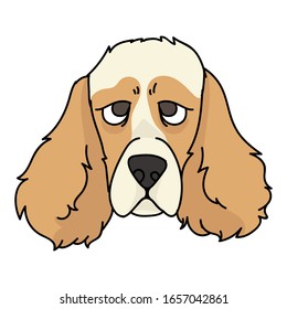 Cute cartoon cocker spaniel dog face vector clipart. Pedigree kennel doggie breed for dog lovers. Purebred domestic puppy for pet parlor illustration mascot. Isolated canine hunting breed. EPS 10. 