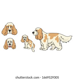 Cute cartoon cocker spaniel dog and puppy set breed vector clipart. Pedigree kennel doggie breed for dog lovers. Purebred domestic for pet parlor illustration mascot. Isolated canine hunting hound.