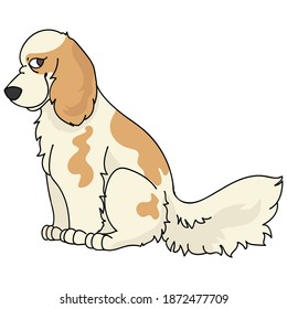 Cute cartoon cocker spaniel dog sitting, vector clipart. Pedigree kennel doggie breed for kennel club. Purebred domestic puppy training for pet parlor illustration mascot. Isolated canine.