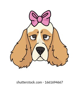 Cute cartoon cocker spaniel with girly bow dog face vector clipart. Pedigree kennel dog lovers. Purebred domestic puppy for pet parlor illustration mascot. Isolated canine English hunting breed. EPS 