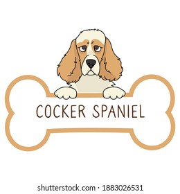 Cute cartoon Cocker Spaniel on collar dog tag vector clipart. Purebred doggy identification medal for pet id. Domestic dog for pet pooch. 