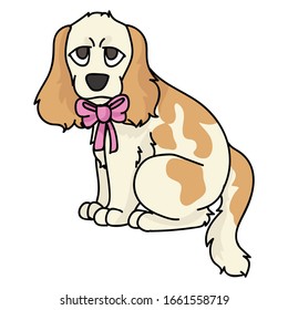 Cute cartoon cocker spaniel puppy with girly bow dog vector clipart. Pedigree kennel dog lovers. Purebred domestic for pet parlor illustration mascot. Isolated canine English hunting breed. EPS 10. 