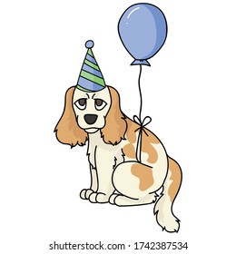 Cute cartoon cocker spaniel puppy with party hat vector clipart. Pedigree kennel dog lovers. Purebred domestic dog for balloon illustration mascot. Isolated canine English hunting breed. EPS 10. 