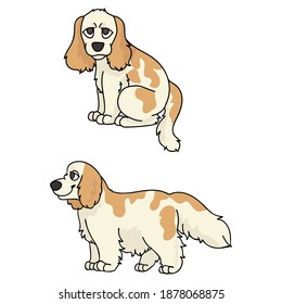 Cute cartoon Cocker Spaniel puppy vector clipart. Pedigree kennel doggie breed for kennel club. Purebred domestic dog training for pet parlor illustration mascot. Isolated canine breed. 