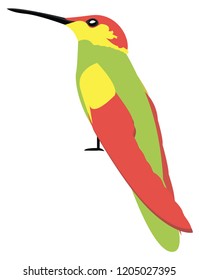 Cute cartoon colored bird