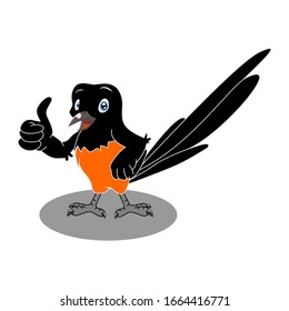 
Cute cartoon of Copsychus malabaricus