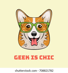 Cute cartoon corgi dog face. Geek pet character. Nerd Glaasses. Vector Illustration isolated on white background