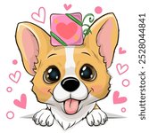 Cute Cartoon Corgi with gift and hearts isolated in a white background