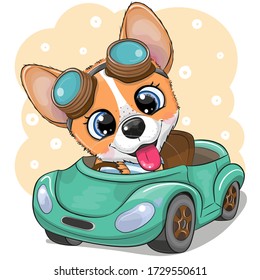Cute Cartoon Corgi in glasses goes on a green car