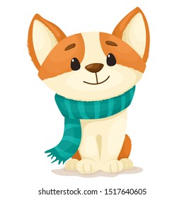 Cute cartoon Corgi puppy with a turquoise scarf around his neck. Vector illustration on a white background.