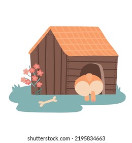 Cute cartoon corgi sitting in the doghouse with his back outside. Booty of a dog in the form of a heart in wooden kennel. Vector flat hand drawn illustration
