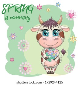 Cute cartoon cow with a bouquet of flowers. Spring is coming. Symbol of the year 2021 according to the Chinese calendar.