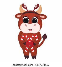 Cute cartoon cow, bull with Christmas candy . Perfect for greeting cards, party invitations, posters, stickers, pin, scrapbooking, icons. Vector illustration.