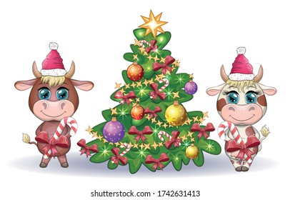 Cute Cartoon Kuh und Stier, in der Nähe eines Weihnachtsbaumes mit Süßigkeiten und in der Hut des Weihnachtsmanns. Symbol des Jahres 2021 nach dem chinesischen Kalender