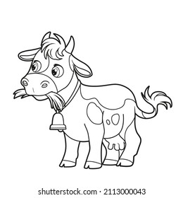 Cute cartoon cow eating hay outlined for coloring book on white background