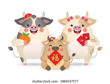 Cute cartoon cow family holding tangerine, red packet and chinese couplet isolated on white background. 2021 chinese new year - year of the ox flat vector illustration. (translation: blessing)