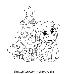 Cute cartoon cow in Santa Claus hat sitting near new year tree and Christmas gifts. Black and white vector illustration for coloring book