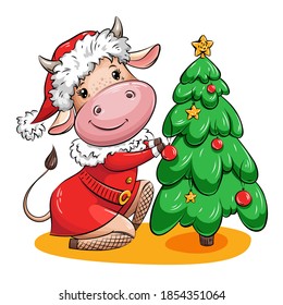 Cute Cartoon cow in Santa suit is decorating Christmas tree with Christmas balls and gold stars. Christmas character. Vector illustration for calendar, greeting card, holiday card, stikers,