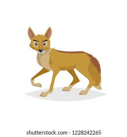 Cute Cartoon Coyote. Wild Animal. Vector Illustration For Child Books. Danger Predator Animal. Isolated On White Background.