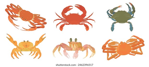 Cute cartoon Crab. Red, green,  yellow Crab, Snow Crab, Ghost Crab isolated on white background. Seafood vector illustration set.