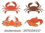Cute cartoon Crab. Red Crab, Snow Crab and Raw Black Crab on white background. Seafood vector illustration set.