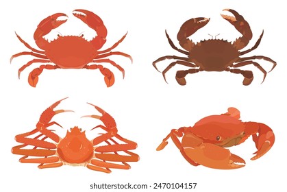 Cute cartoon Crab. Red Crab, Snow Crab and Raw Black Crab on white background. Seafood vector illustration set.