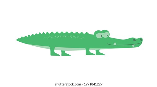 Cute cartoon crocodile isolated on white transparent background. Vector flat design children's illustration. Side view. Alligator animal drawing. Side view