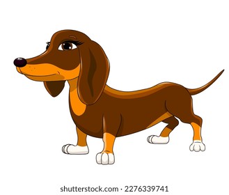 Cute cartoon dachshund. Brown dachshund on a white background.
