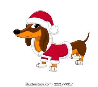 Cute cartoon dachshund dog dressed up in a Santa hat and costume. Dog on a white background.