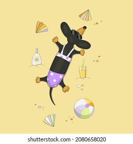 A cute cartoon dachshund dog relaxing on the beach.The dog lies on its stomach and sunbathes in a funny swimsuit, shells, sunblock, a drink, an inflatable ball are scattered around.Vector illustration