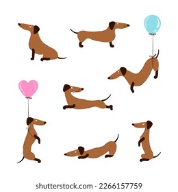 Cute cartoon dachshund set. Vector illustration of funny dog