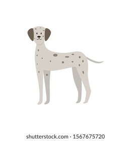 Cute cartoon Dalmatian dog standing with excited face - flat pet animal drawing isolated on white background. Spotty canine breed vector illustration.