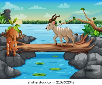 Cute cartoon deer crossing the river illustration