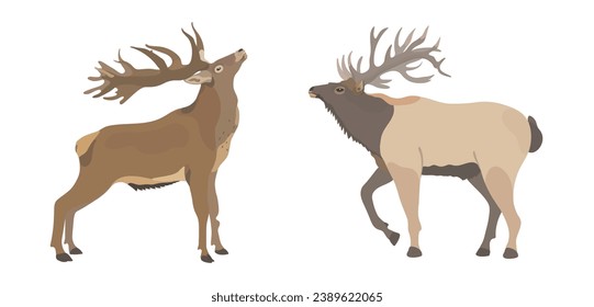 Cute cartoon deer and elk. Vector wild animals illustration.