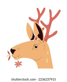 Cute cartoon Deer illustration isolated on white background.