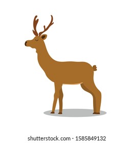 Cute Cartoon deer  isolated on white background. Vector illustration.