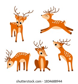 Cute cartoon deers collection. Nice woodland animals on white background. Vector illustration.