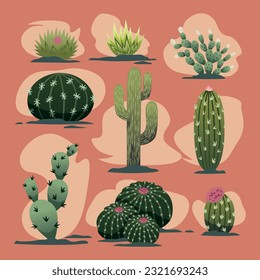 cute cartoon desert cactus vector collection set illustration