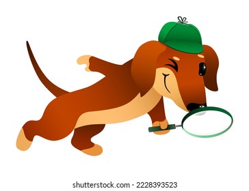 cute cartoon detective dachshund dog looking for items with a magnifying glass on white background. funny animal in search . vector cartoon character illustration.