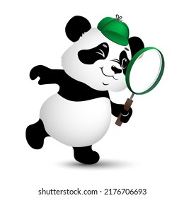 cute cartoon detective little panda looking for items with a magnifying glass on white background. funny animal in search . vector illustration.