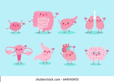 cute cartoon different organ show ok to you