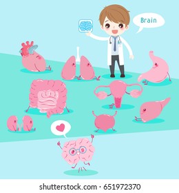 cute cartoon doctor take brain xray with organ on the green background