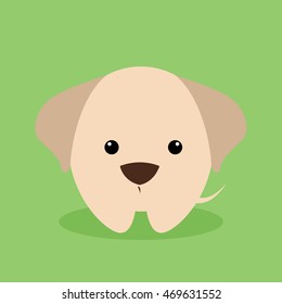Cute Cartoon dog