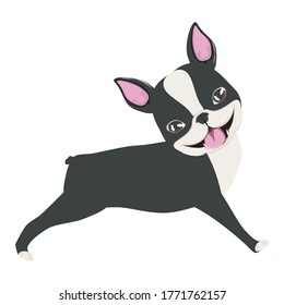 Perro de dibujos animados, ilustración de Boston Terrier sobre fondo blanco.