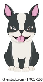 Perro de dibujos animados, ilustración de Boston Terrier sobre fondo blanco.