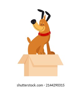 Cute cartoon dog in a box. Adorable puppy. Homeless animals concept, pets adoption theme. Vector illustration isolated on a white background. Adopt a friend, homeless pet. Help animal to find a home.