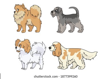 Cute cartoon dog breed set vector. Pedigree kennel spitz, papillon and schnauzer for dog lovers. Purebred cocker spaniel illustration. Isolated hunting hound. 